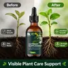 Solución Nutritiva Vegetal KineShineX para Crecimiento de Hojas Verdes, Suplemento de Fertilizante Concentrado para Plantas en Maceta, Céspedes y Flores