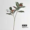 Ramas y hojas de plantas verdes artificiales para paisajismo y decoración del hogar, plantas verdes falsas, ramas de hojas de magnolia artificiales, adornos de plantas verdes para paisajismo