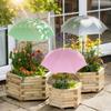 Sombrilla Popular Transfronteriza para Plantas de Amazon, Flor en Maceta, Sombrilla de Protección Solar, Aislada, Sombrilla de Protección para Plantas de Exterior en el Suelo