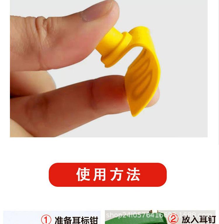 耳标_09.jpg