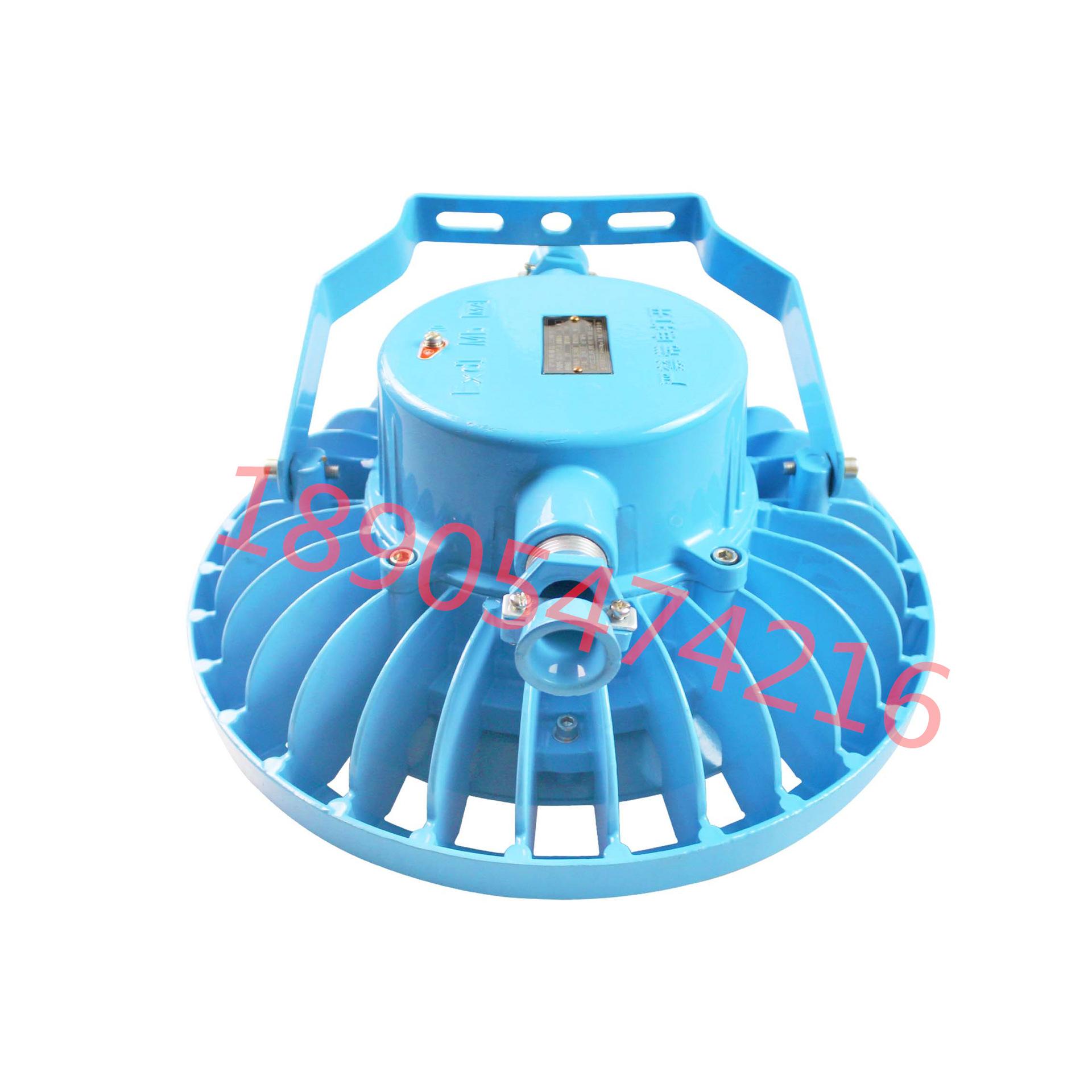 DGS100-127L(A)矿用隔爆型LED照明灯 (4)