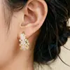 Pendientes de Circonia Rosa de Venta Caliente Moda de Gama Alta Románticos con Temperamento Joyería para Orejas para Mujer Fresco Dulce Elegante Estilo Socialité Pendientes de Botón