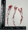 Xiacao Espécimen de Planta en Relieve Goteo de Gel Carcasa para Teléfono Móvil diy Material de Marco de Fotos Flores Secas en Relieve Flores Reales Maquillaje de Novia