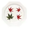 Hoja de Arce Rojo Flor Seca Espécimen de Planta en Relieve Enseñanza Pegamento Funda para Teléfono Móvil Marcapáginas Hecho a Mano para Niños Marco de Fotos Calcomanía en Relieve
