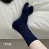 Calcetines de punta para mujer estilo coreano para otoño e invierno, color liso, casuales y versátiles para ir al trabajo, calcetines altos de algodón puro, disponibles en negro y blanco