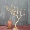 Decoración de Tronco de Árbol, Ramas Secas Peladas, Paisajismo, Troncos, Ramas Secas, Ramas Muertas, Adornos para Estantes, Ramas de Árbol con Estilo Artístico