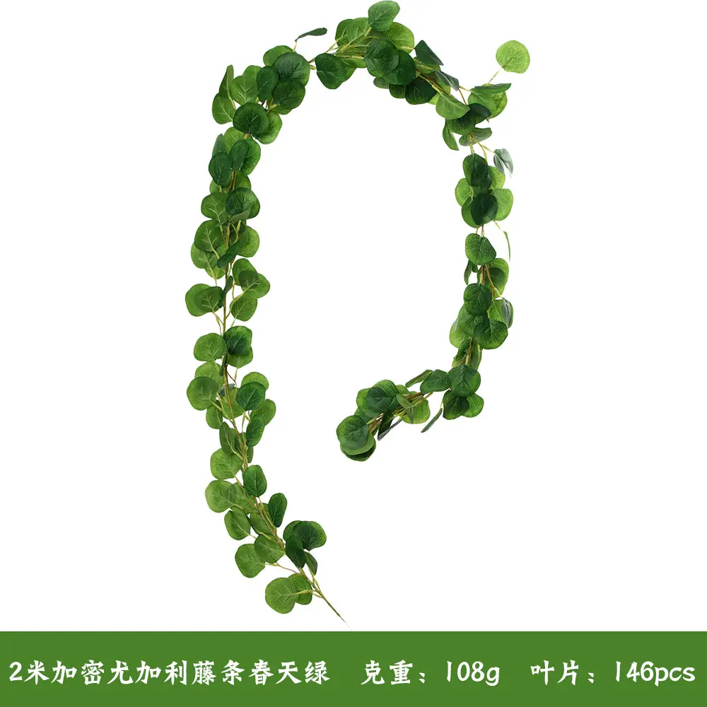 尤加利春天绿