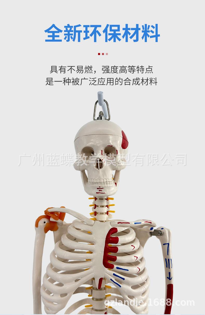 详情_03