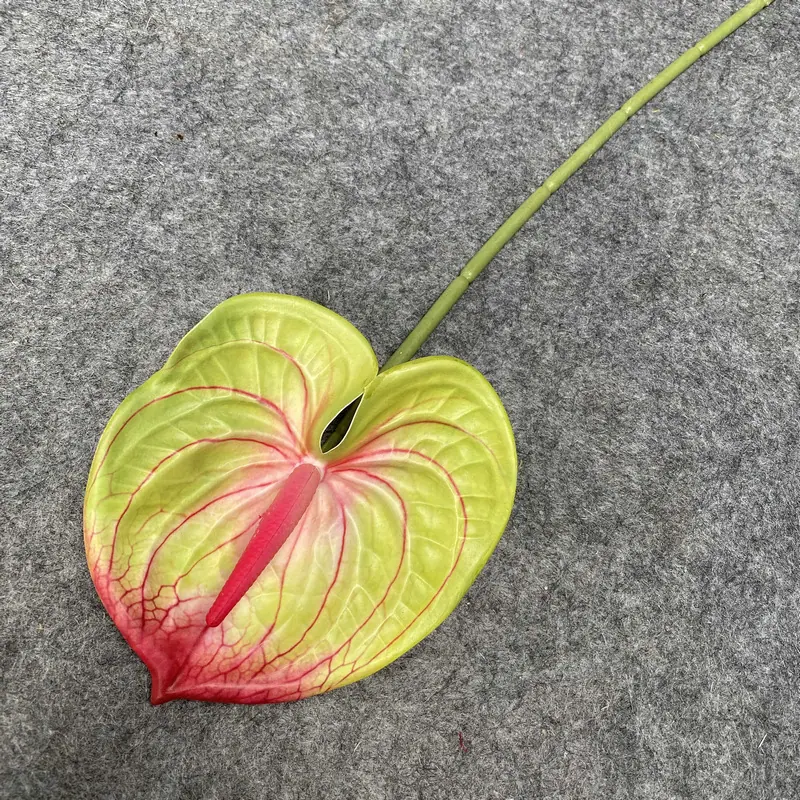 粉绿色.JPG