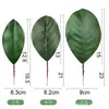 Hojas de Magnolia, Hojas para Arreglos Florales Artificiales, Accesorios de Hojas de Cartón para Tarjetas de Boda Transfronterizas, Flores de Tela con Adhesivo