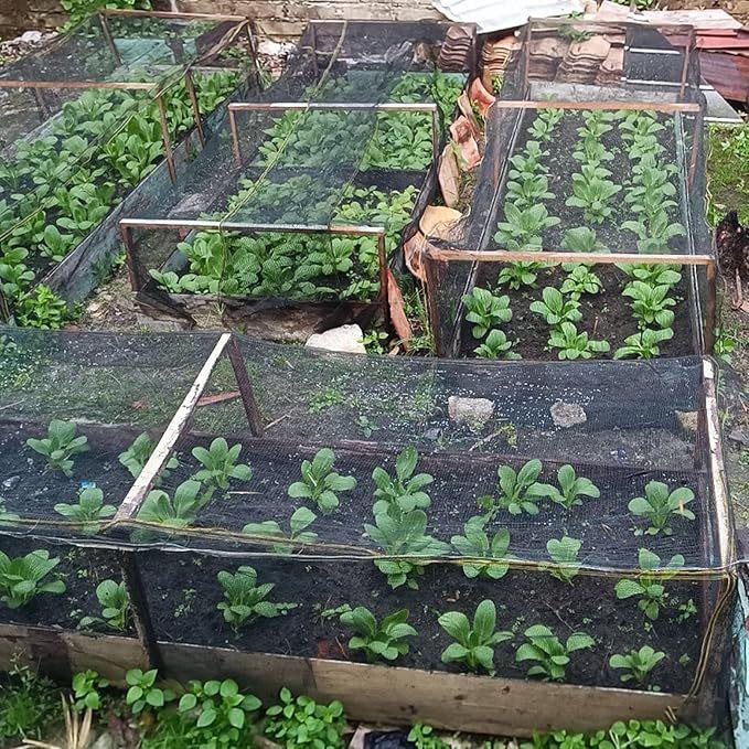 81ucX4ttqeL._AC_SX679_