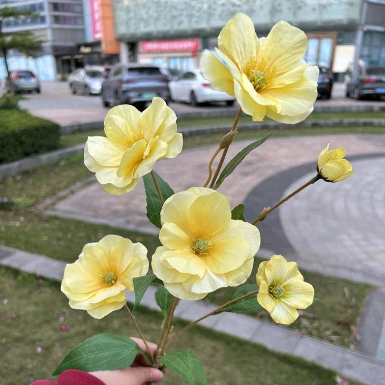 微信图片_20240707135427.jpg