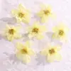 Flores Artificiales, Accesorios para Fotografía de Bodas, Accesorios para el Cabello Hechos a Mano para DIY, Materiales Decorativos para Caja de Flores de Amazon