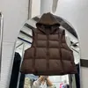 Novedad Otoño/Invierno 2026 Chaleco de Algodón Acolchado con Capucha de Moda Estilo Coreano para Mujer como Ropa de Abrigo Cálida