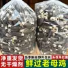 Morchelas Secas de Yunnan, Cogumelos Comestíveis Selecionados, Novidades para Sopa, Morchelas, Cogumelos Shiitake, Cogumelos Atacado, Disponível para Envio