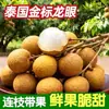 Lichias Tailandesas, Fruta Tropical Importada Fresca, Colhidas Frescamente e Enviadas na Temporada, Lichias Secas Doces, Entrega Instantânea Via Sf Express