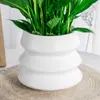 Cuenca de configuración carnosa de resina espesada de plástico nórdico, cultivo en suelo, cuenca de nube tridimensional de escritorio, cuenca para plantación verde en interiores de balcón, cuenca para Anturio