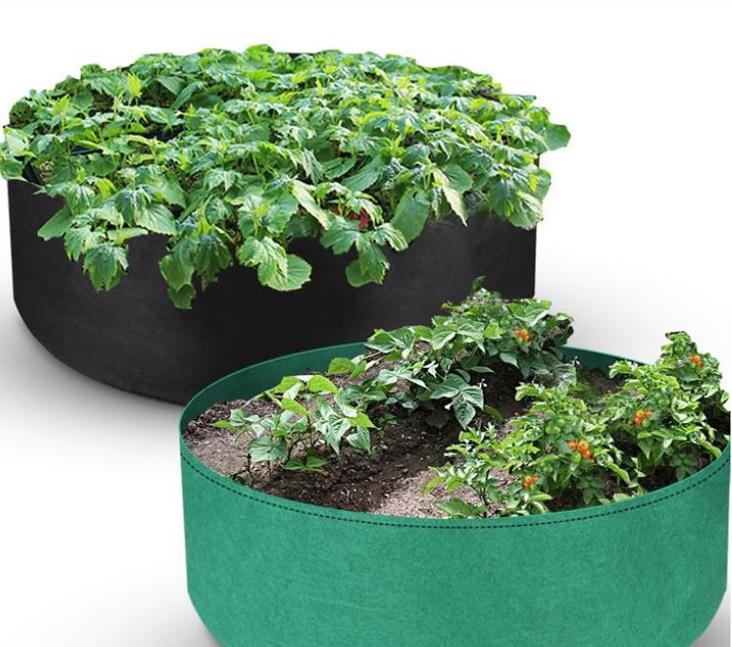 1615377535(1)_副本