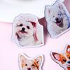 Imanes de Refrigerador de Acrílico Hechos a Medida con Resina Epoxi, Imanes de Refrigerador Completamente Magnéticos, Imanes 3D Personalizados, Imanes de Refrigerador DIY de Anime