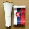Bandeira da Eslováquia de Mão 14*21cm 5.5*8Polegadas Bandeira Pequena Eslovaca Nº 8 com Haste