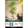Planta en Maceta de Piso Nandina Domestica, Planta Verde Artificial Grande para Interiores, Decoración de Lujo Ligero para Sala de Estar, Árbol Artificial