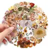 50 Piezas de Pegatinas Transparentes de Mascota de Plantas Secas, Flores Secas Estilo Realista Vintage, Pegatinas Estilo Ins para Diario y Papelería