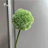 Venda Direta de Fábrica de Flores Artificiais, Bolas de Cebola, Dentes-de-leão, Flores de Cebola, Frutas, Arranjos Florais para Casamento, Arte Floral de Plantas e Design de Paisagismo