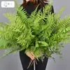 Samambaia mimosa folha de samambaia cauda de leque planta parede decoração macia arranjo de flores material de folha grama artificial galho grande samambaia persa