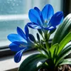 Recomendación de nuevos productos: Planta de Clivia en Maceta, Fácil de Cultivar en Interiores, Plántulas de Clivia, Plantas y Flores Verdes para Exteriores