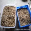 Granuladora de alimento para cerdos Liaocheng granuladora de alimento para pollos granuladora de alimento de matriz anular equipo de procesamiento de alimento