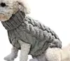 2022 Novo Cachorro Pequeno Famoso na Internet Outono e Inverno Roupa Pet Colete Roupas Casuais Quentes Roupas para Cachorro Teddy