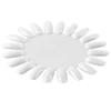 Tarjeta de color ovalada para decoración de uñas, 20 piezas, placa de color transparente, color natural, con forma de girasol, tablero de exhibición para uñas postizas, práctica para principiantes