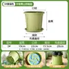 Maceta de Plástico Qingshan de Tercera Generación para Control de Raíces, Maceta Transpirable de Resina para Plantas Verdes, Cultivo de Flores en Balcón