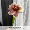 Tulipanes Marrones Artificiales para Salón de Ceremonia de Boda, Arreglos de Pasillo y Ramos de Novia