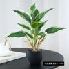 Amazon Plantas Verdes Simuladas Perennes En Maceta Flores de Plástico Adornos Decorativos de Pie para Escritorio en Casa Plantas Verdes Falsas