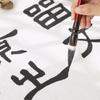Juego de pinceles Wei Zhuang maestro alumno Yang Hao caligrafía regular grande y mediano caligrafía regular pequeña clase de entrenamiento para adultos caligrafía regular escritura oficial escritura cursiva
