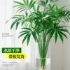 Bambú Dorado Hidropónico Planta en Maceta de Interior para Sala de Estar, Oficina y Decoración del Hogar, Vegetación de Escritorio Fácil de Cuidar