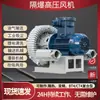 Ventilador Vortex de Aire a Alta Presión Antideflagrante Personalizado 220V380V Eléctrico Trifásico Soplador de Alta Presión Industrial Alta Potencia