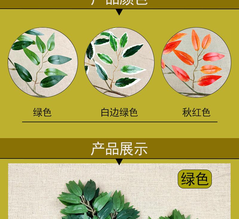 详情5.jpg