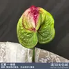 Pico de bambu de galho alto céu estrelado dente-de-leão verde escuro verde claro estilo floresta celebração de casamento decoração marcador de corredor arranjo de flores teto alto material de folha