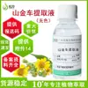 Extracto de Arnica Líquido Incoloro en Stock 1kg Extracto Líquido Cosmético Vegetal Cuidado de la Piel Materia Prima Extracto de Arnica