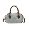 Bolso de Diseño de Nicho para Mujer 2026 Nuevo Bolso Sencillo Tipo Almohada Texturizado Versátil para el Trabajo Bolso de Hombro Cruzado