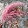 Grama Barba de Dragão Eterna Pendurada Arroz Decoração de Casa Pendurada na Parede Planta de Rattan Decoração de Casamento Grama Aspargo Grama Pena Grama Barba de Dragão