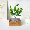 Hierba de Piña de 7 Ramas y 35 Hojas Paquete Individual Planta Verde Artificial Decoración Interior y Exterior Hierba de Piña en Maceta de Plástico Adorno Pequeño en Maceta