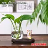 Gatito pescando, panda, rana, gato siamés, planta pothos, jarrón hidropónico, adorno de escritorio, decoración de escritorio de oficina