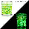 Lentejuelas Luminosas para Arte de Uñas Glitter Luminoso Serie Mágica Set 24 Botellas de Color Esmalte de Uñas Gel Amazon Transfronterizo