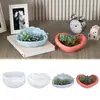 Molde de Silicona para Producto Nuevo Transfronterizo Caja de Almacenamiento con Forma de Concha DIY Taza para Velas Adorno Molde de Yeso