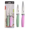 Cuchillo para Fruta de Acero Inoxidable Color Nórdico, Pelador de Fruta para el Hogar, Cuchillo para Filete con Mango de Plástico, Juego de Cuchillos de Cocina