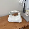 Bolsa de Dumpling com Alça Torcida Única para Mulheres, Nova Bolsa Transversal Hobo Versátil de Verão 2026, Mini Bolsa de Mão para o Dia a Dia