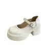 Zapatos de plataforma retro estilo francés negros para mujer, nueva colección primavera/otoño 2026, estilo Mary Jane de invierno, perfectos con vestidos, zapatos planos de punta baja